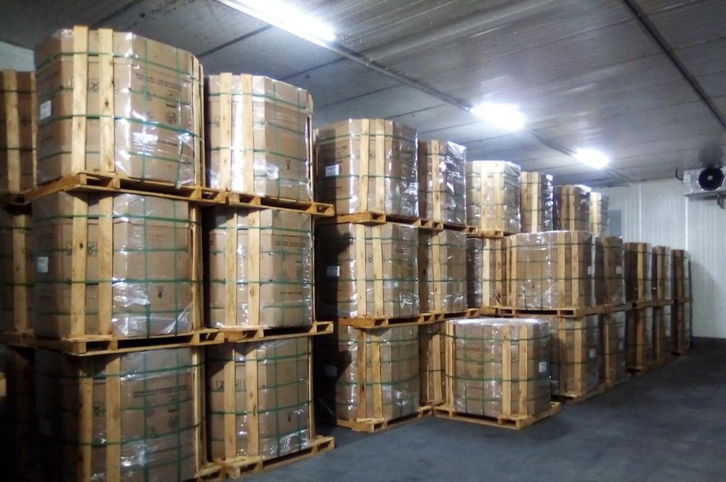 Caixa de Papelão IBC Box e Exportação